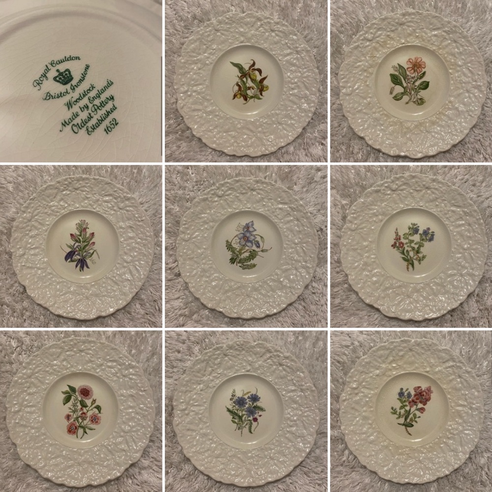 Vintage Royal Cauldon Bristol Ironstone Woodstock Plate Set.